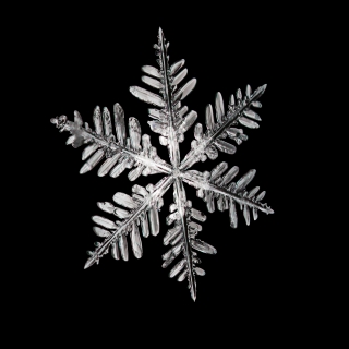 Feather Flake