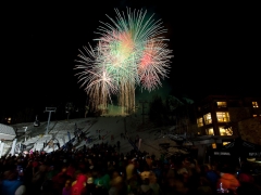 FireworksA.jpg