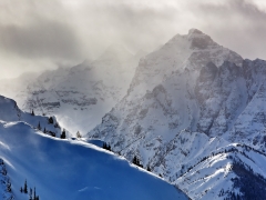 winterPrints10-11-17.jpg
