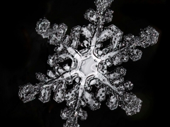 Mirror Flake