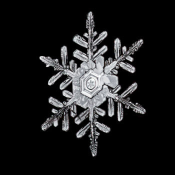 Snowflakes